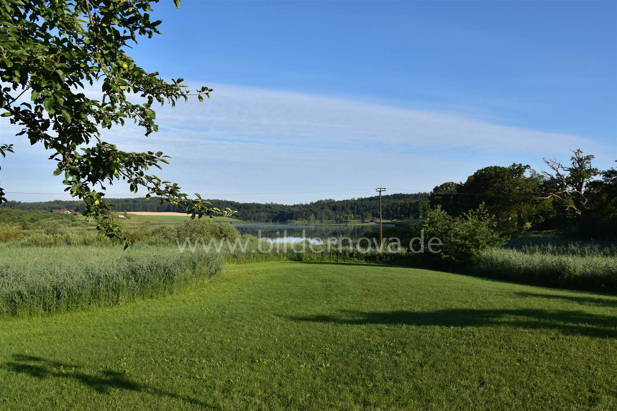 Egglburger See (ID: 000020)