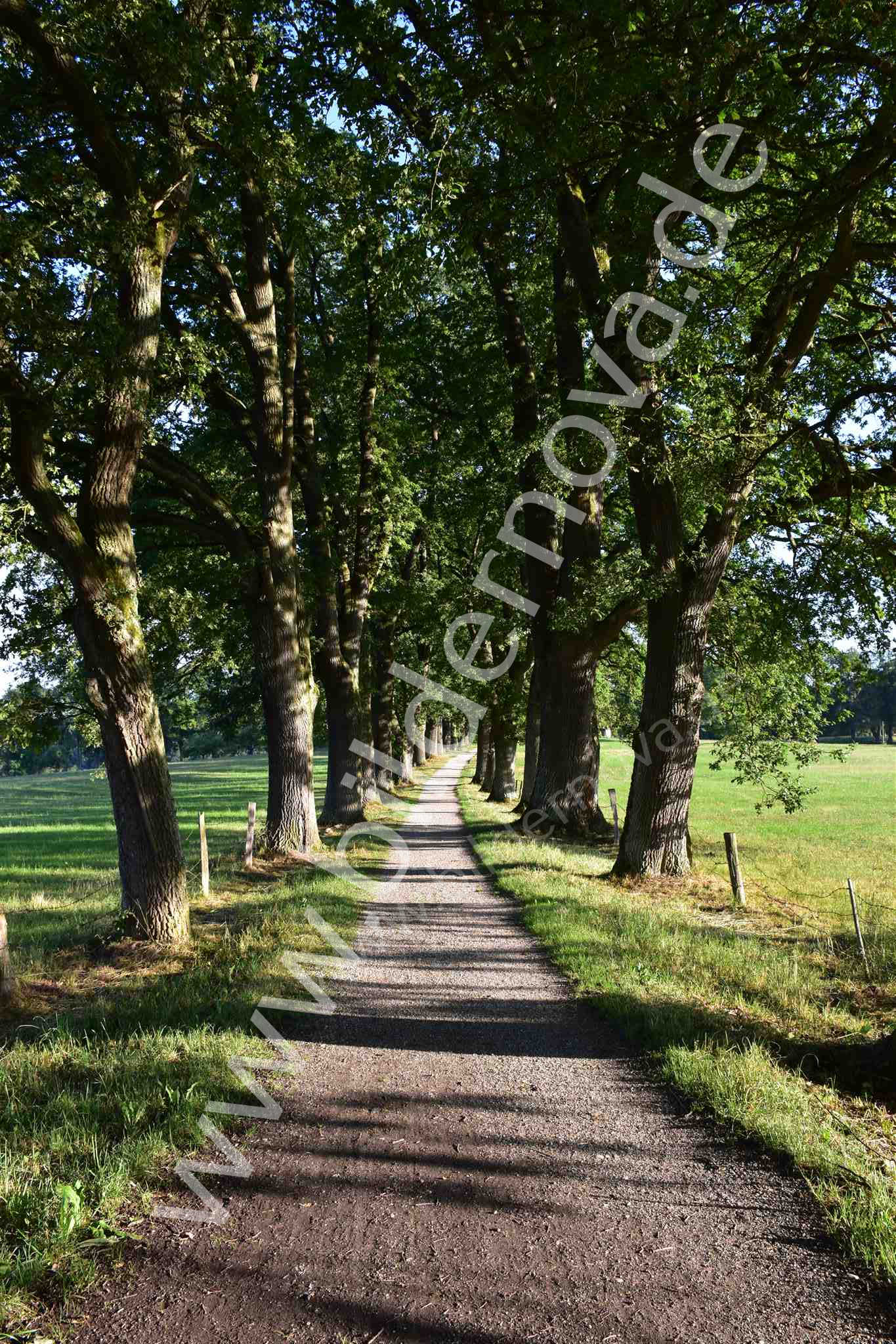 Egglburger See (ID: 000024)