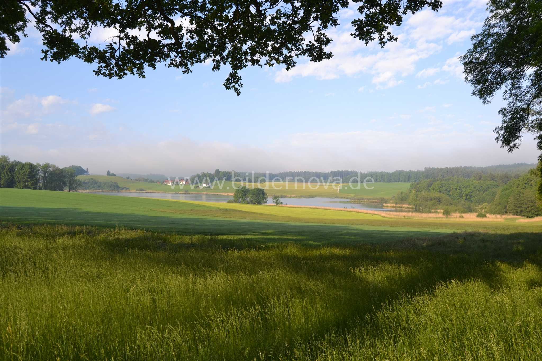 Egglburger See (ID: 000012)