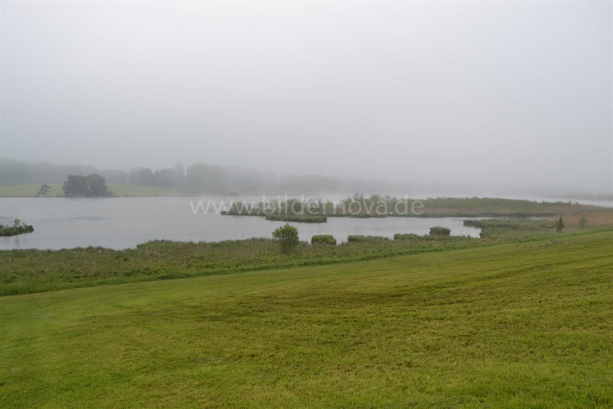 Egglburger See (ID: 000013)