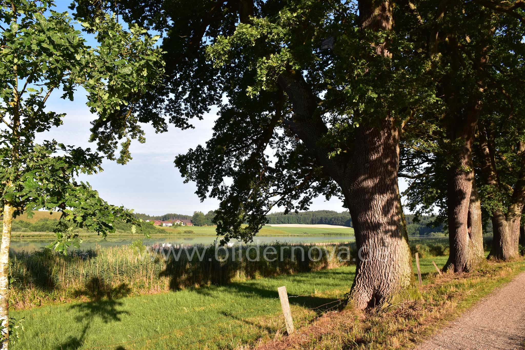 Egglburger See (ID: 000015)