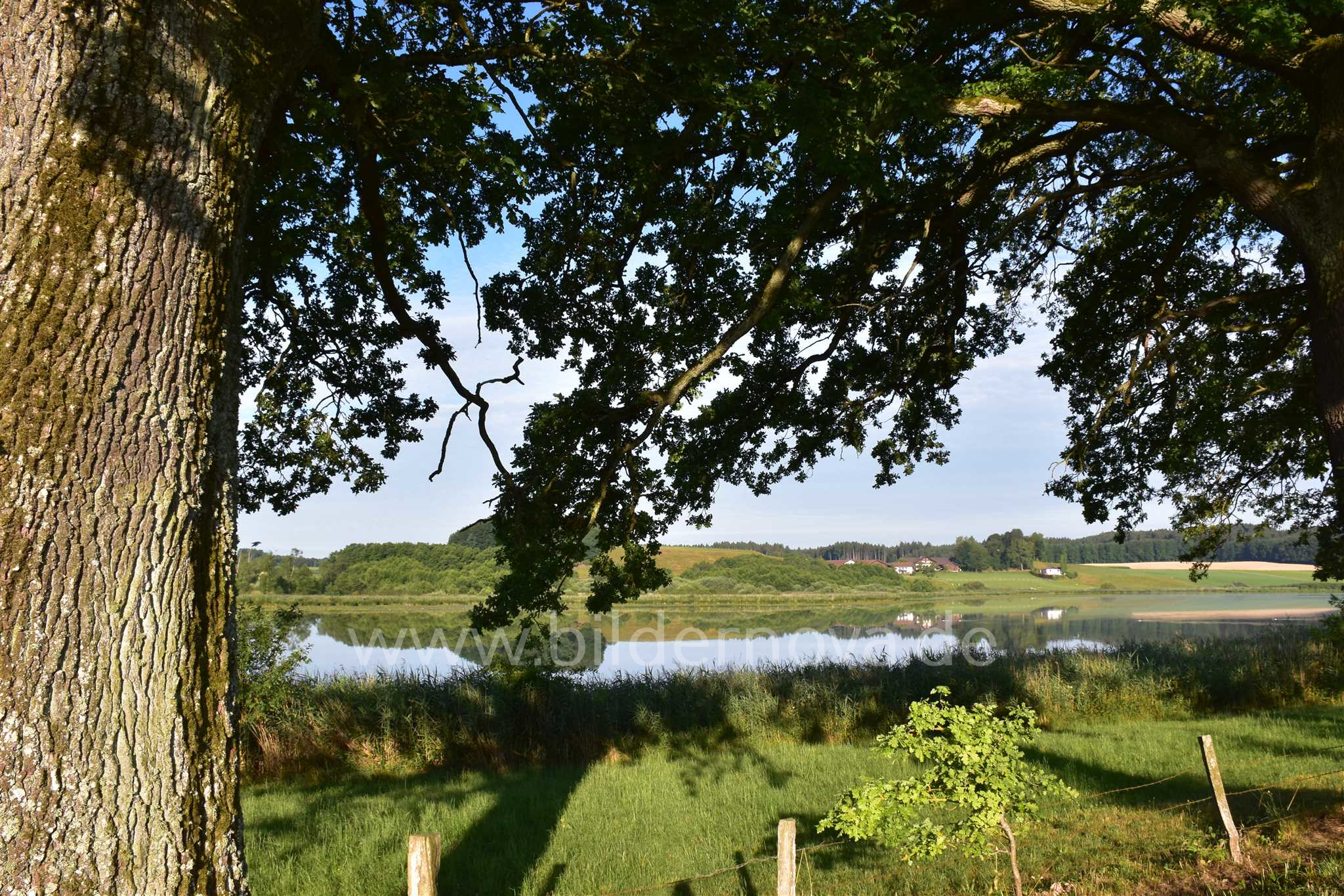 Egglburger See (ID: 000016)