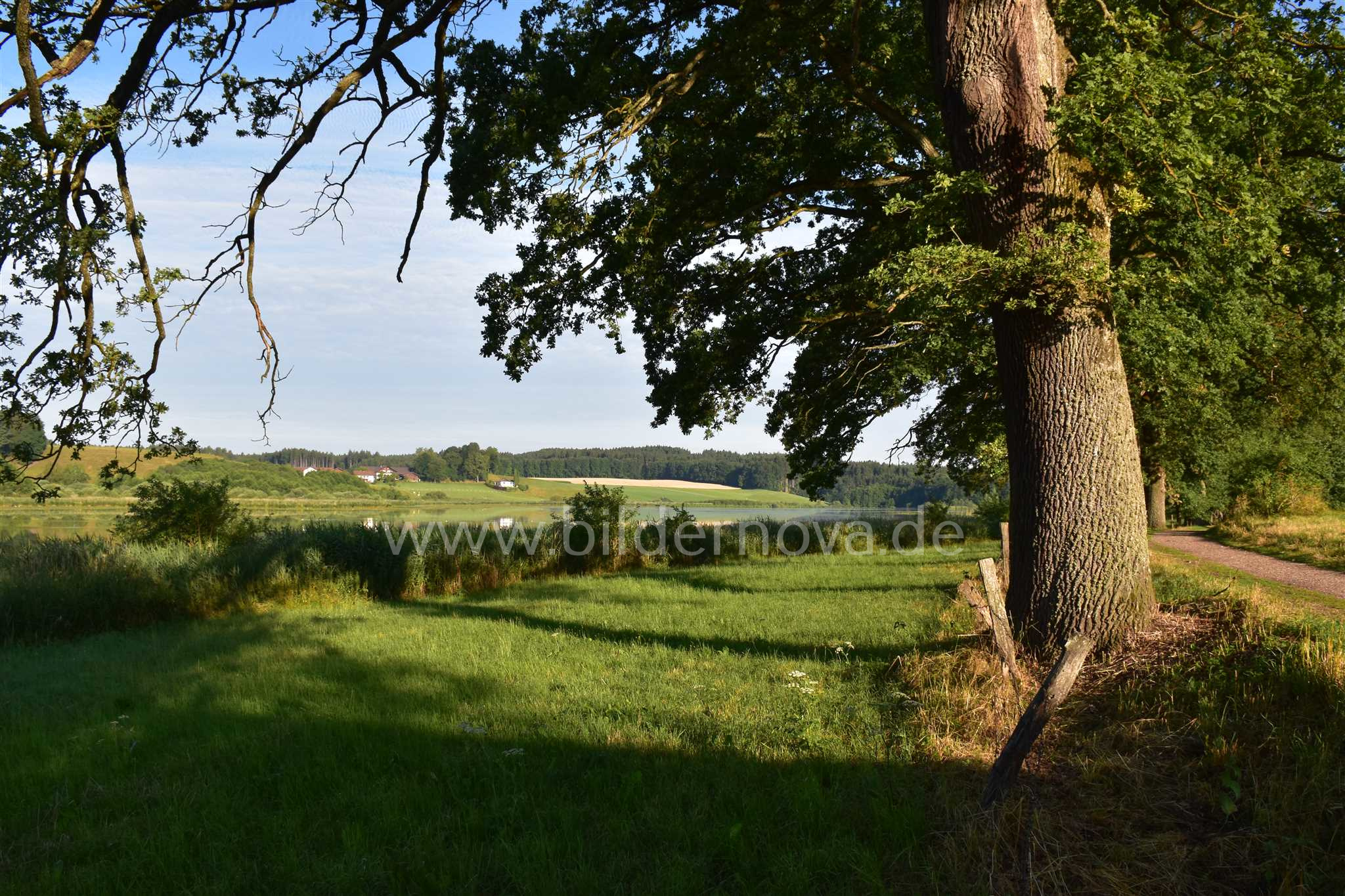 Egglburger See (ID: 000017)