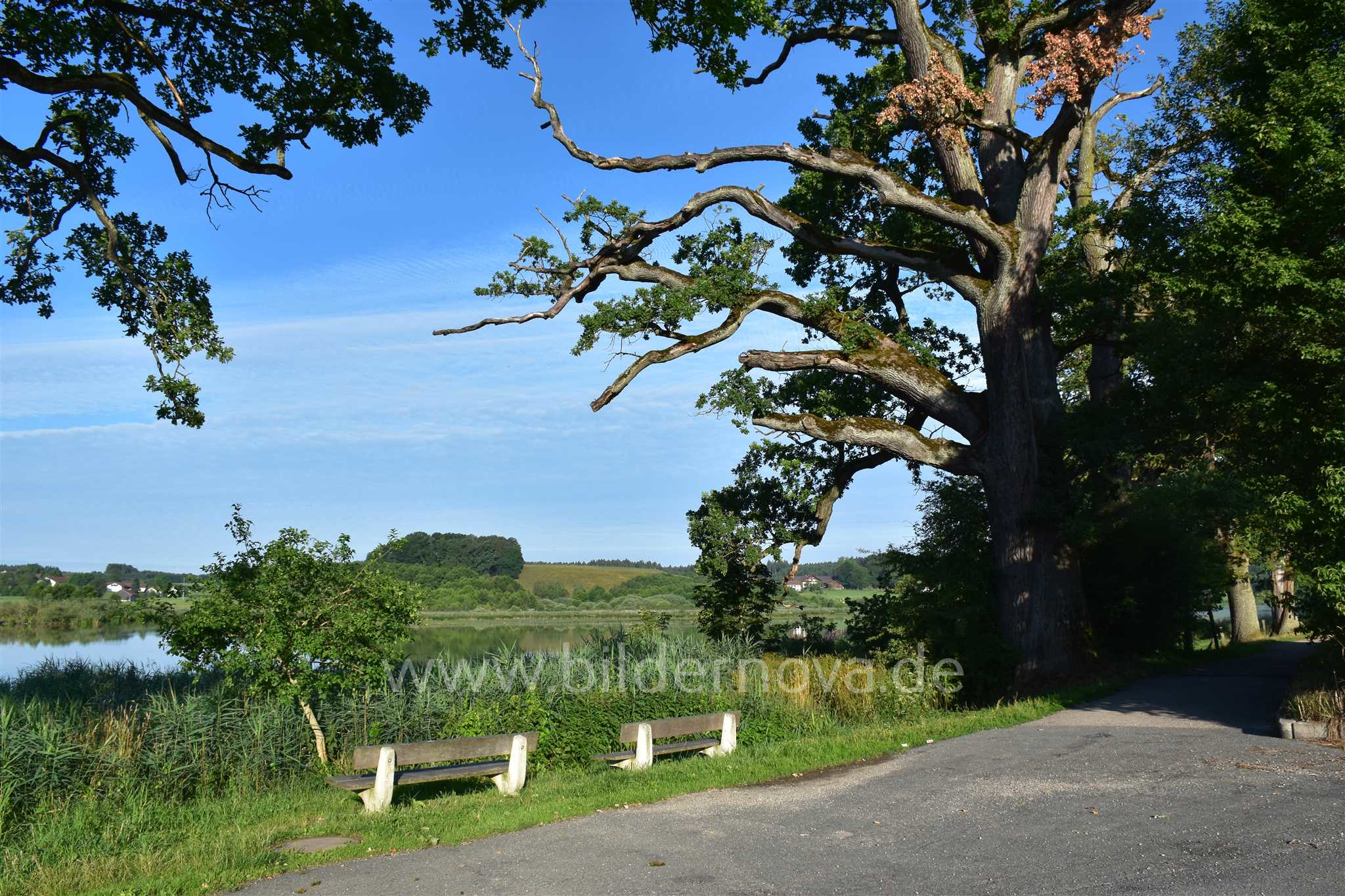 Egglburger See (ID: 000018)