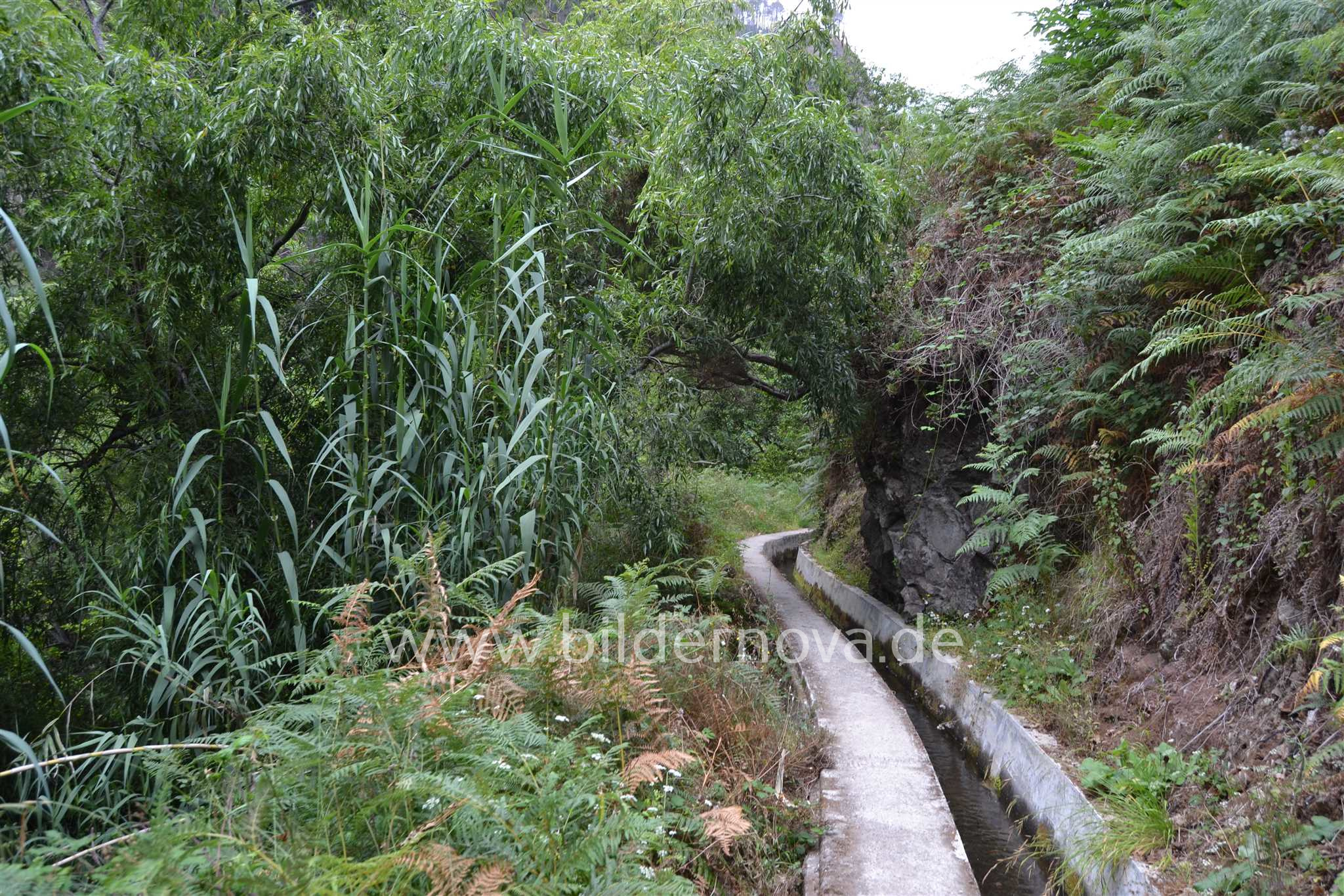 Madeira/Portugal - Levada (ID: 000057)