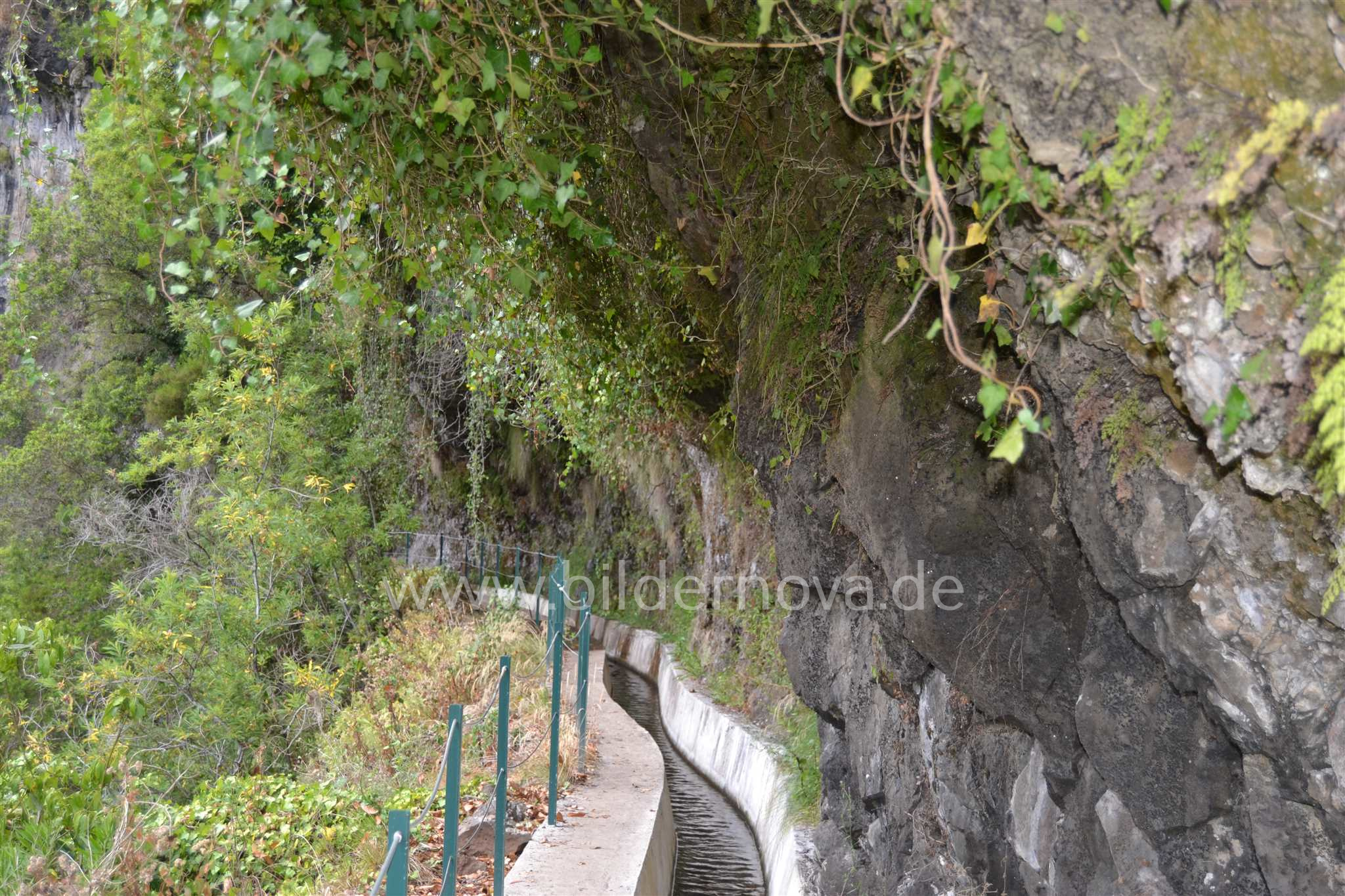 Madeira/Portugal - Levada (ID: 000054)